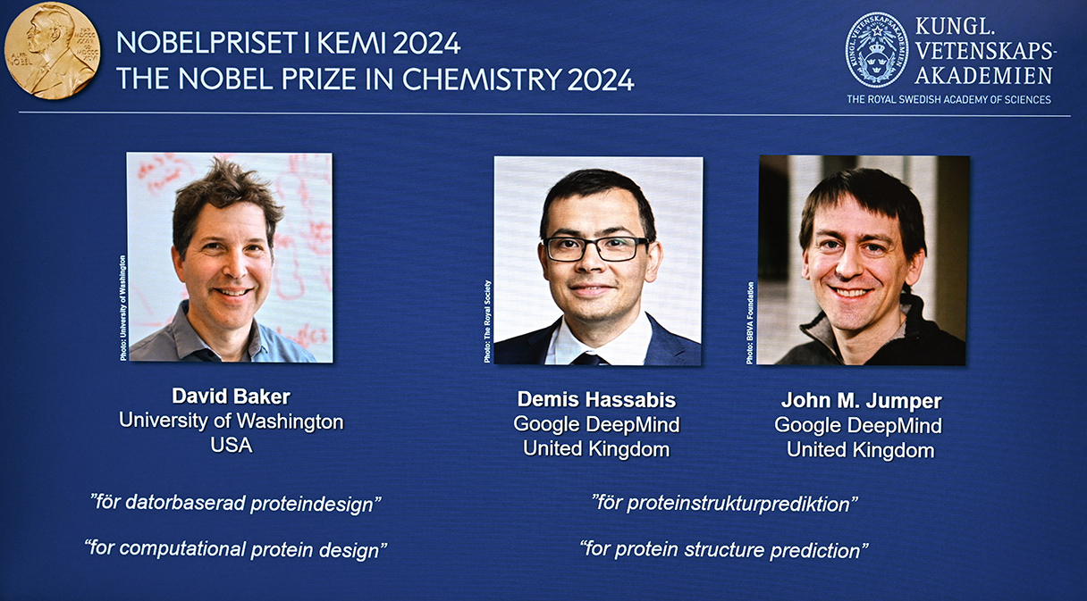 Nobel Prize in Chemistry 2024 Image