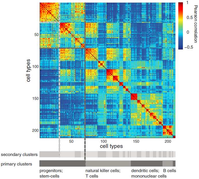 Cell-type Clustering.